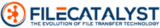 FileCatalyst