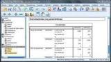 IBM Spss Statistics